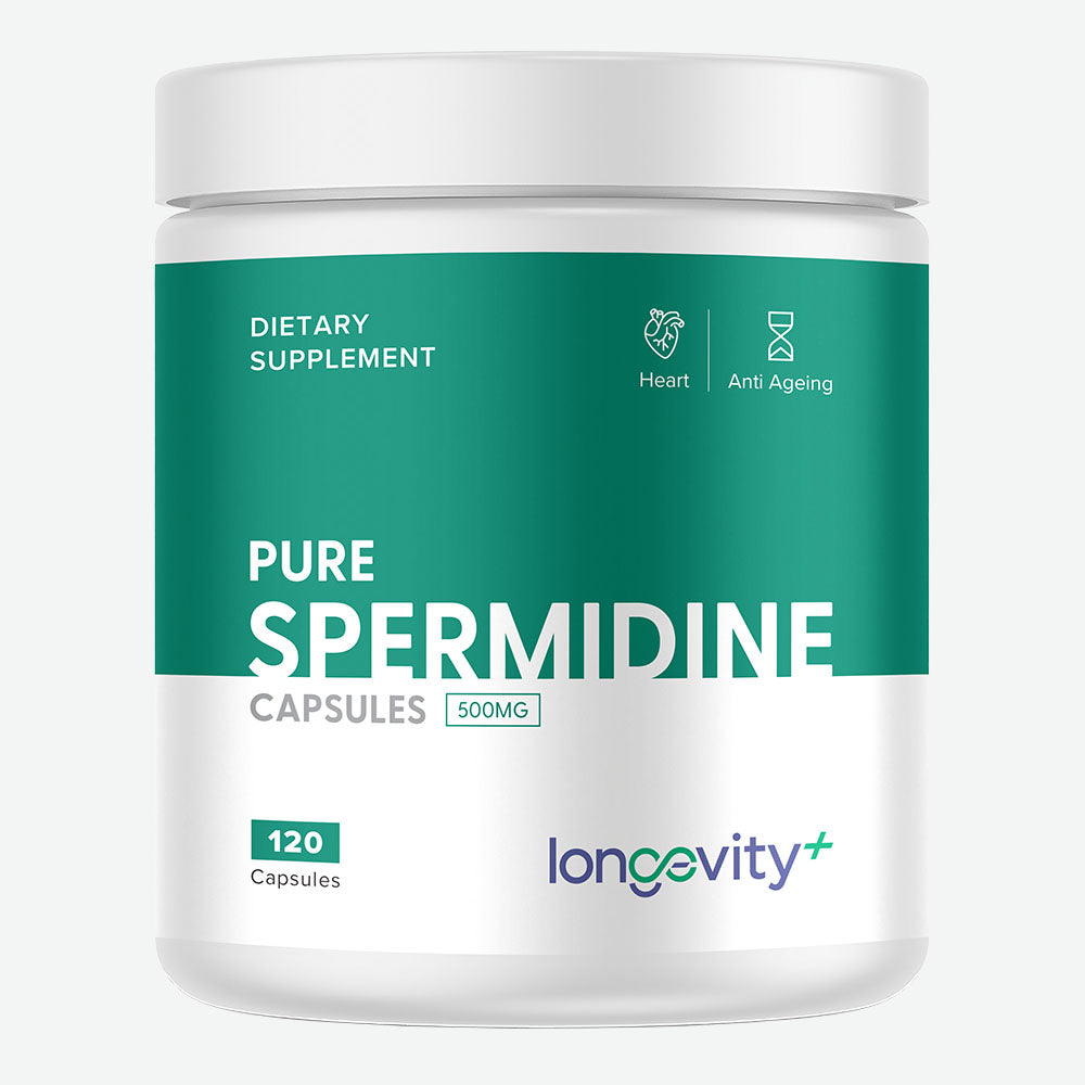 Spermidine
